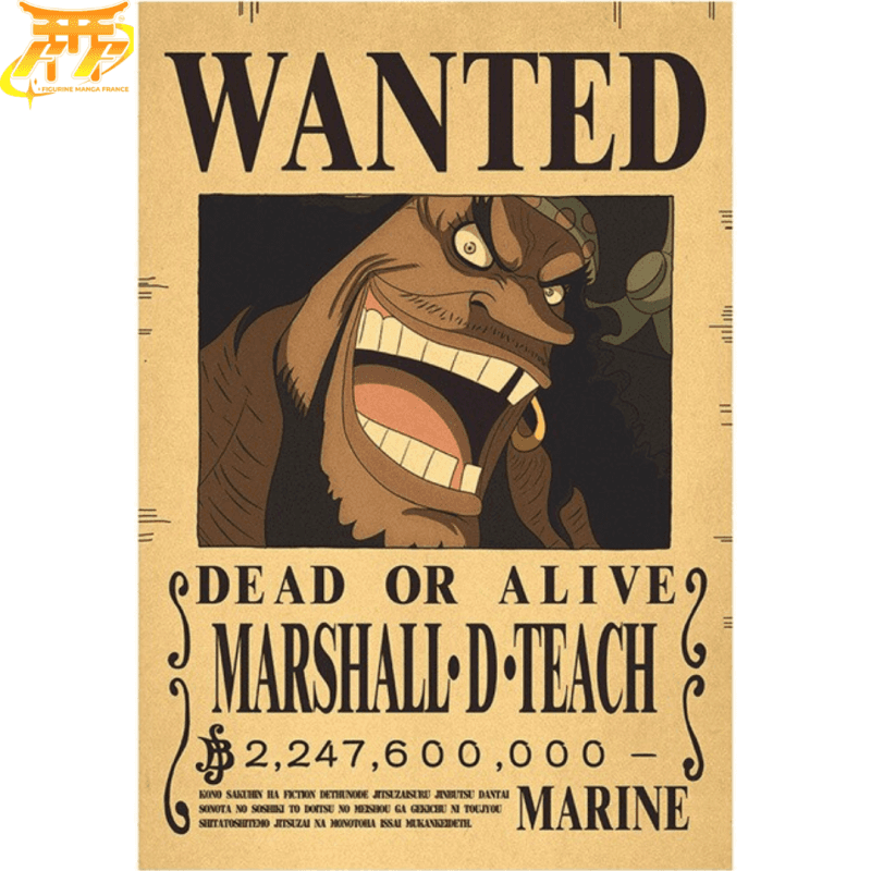Blackbeard "Wanted" Poster – One Piece™