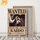 Kaido 