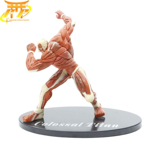Kolossala Titanen Figur - Attack on Titan™