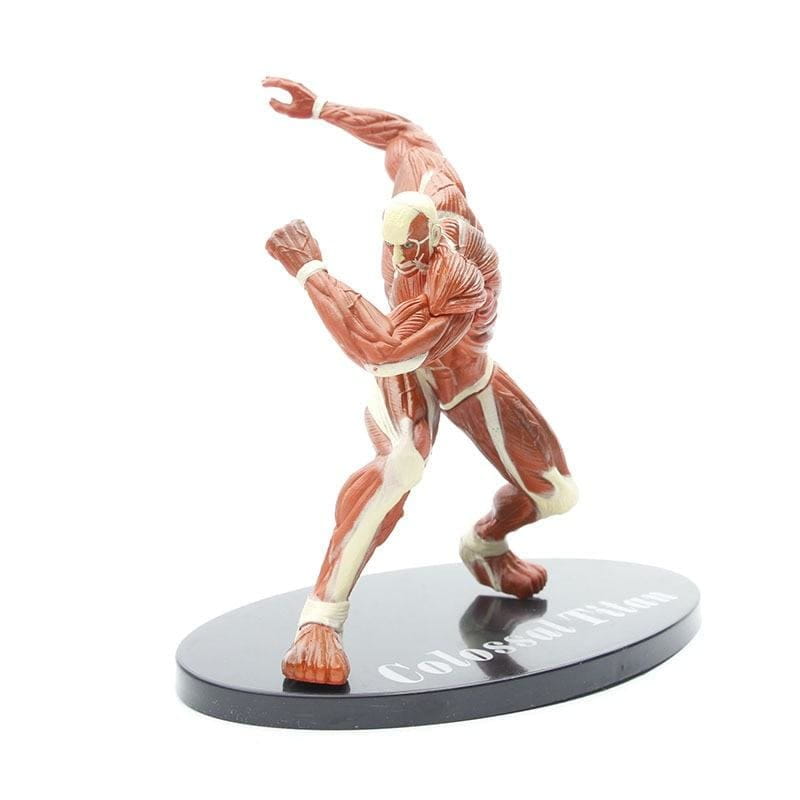 Kolossala Titanen Figur - Attack on Titan™