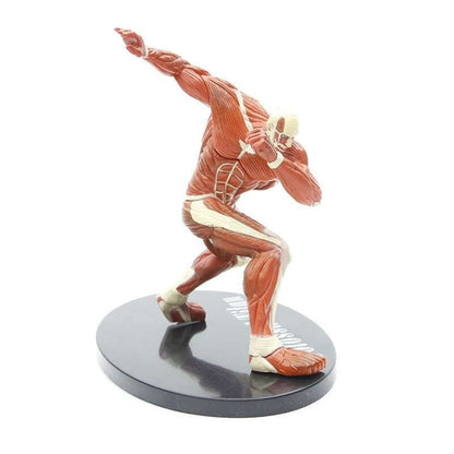 Kolossala Titanen Figur - Attack on Titan™