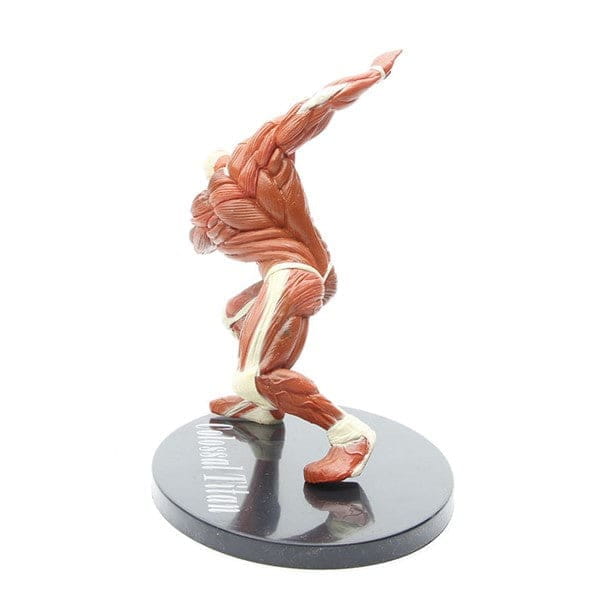 Kolossala Titanen Figur - Attack on Titan™