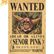 Senor Pink 