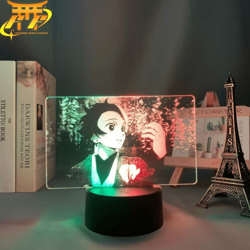 Tanjiro Kamado tvåfärgad 3D-lampa – Demon Slayer™