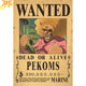 Pekoms 